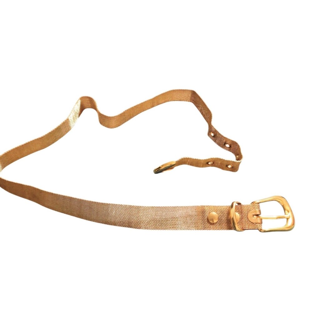 Vintage Gold Metal Mesh Skinny Belt – Size S – Snap Details – Adjustable